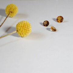 ホームページを公開しました。