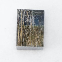 本日ブログを更新しました！