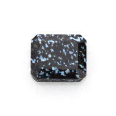 NEW!レオパードオパールの画像を更新しました！