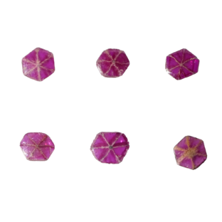 【モゴック産】 トラピッチェルビー