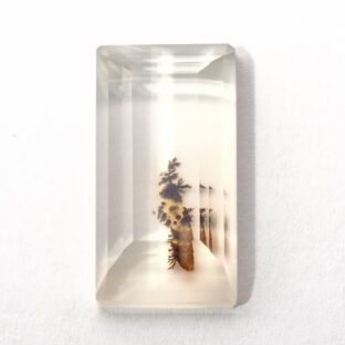 【美麗ダブレット】クォーツxデンドリティックアゲート 20.95ct