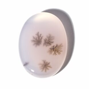 【植物を閉じ込めた？】デンドリティックアゲート  8.85ct