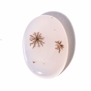 【石に咲く花】デンドリティックアゲート  12.2ct