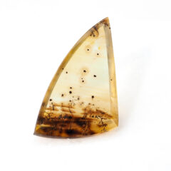 NEW!デンドリティッククォーツ入荷しました！