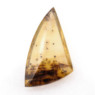 【景色を宿したクォーツ】デンドリティッククォーツ 21.9ct