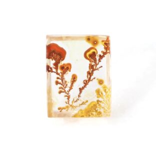 【景色を宿したクォーツ】デンドリティッククォーツ 6.0ct