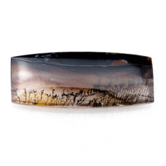 NEW!デンドリティッククォーツ入荷しました！