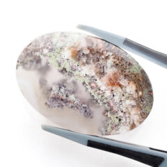 NEW!ランドスッケープアゲートが入荷しました！