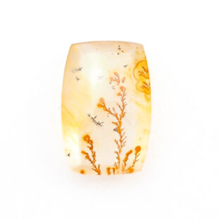 【景色を宿したクォーツ】デンドリティッククォーツ 6.50ct