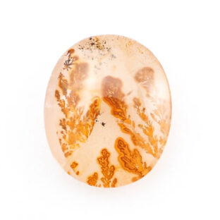 【景色を宿したクォーツ】デンドリティッククォーツ 11.25ct