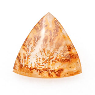 【景色を宿したクォーツ】デンドリティッククォーツ 10.55ct