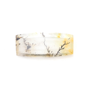 【華やかな個性を感じさせる】デンドリティッククォーツ 11.45ct