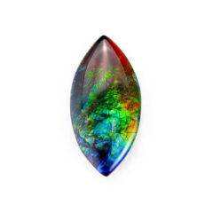 NEW!アンモライトが入荷しました！