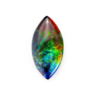 【古代の輝きをルースに】アンモライト 1.2ct