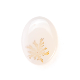 【花咲くインクルージョン】デンドリティックアゲート 10.20ct