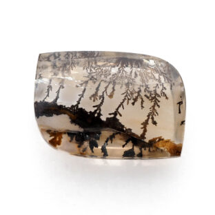 【景色を宿したクォーツ】デンドリティッククォーツ 20.45ct