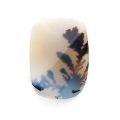 NEW!デンドリティックアゲートが入荷しました！