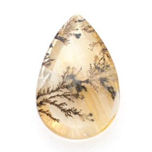 【華やかな個性を感じさせる】デンドリティッククォーツ 18.2ct