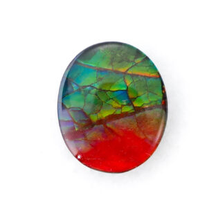 【古代の輝きをルースに】アンモライト 3.0ct