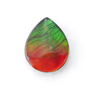 【古代の輝きをルースに】アンモライト 1.75ct