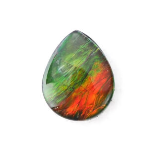 【古代の輝きをルースに】アンモライト 1.75ct