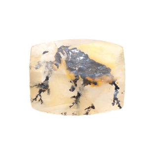 【不思議な模様のクォーツ】デンドリティッククォーツ 9.80ct