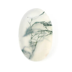 NEW!モスアゲートが入荷しました！