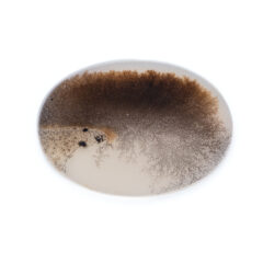 NEW!デンドリティックアゲートが入荷しました！