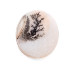 NEW!デンドリティックアゲートが入荷しました！