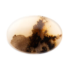 NEW!デンドリティックアゲートが入荷しました！