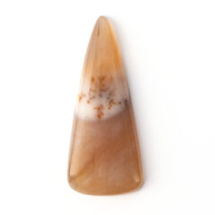 NEW!デンドリティックアゲートが入荷しました。