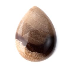 NEW!アゲートが入荷しました。