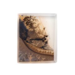 NEW!デンドリティックアゲートが入荷しました！