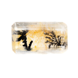 【個性輝くインクォーツ】デンドリティッククォーツ 39.55ct