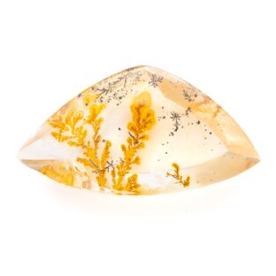 【景色を宿したクォーツ】デンドリティッククォーツ 17.05ct