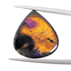 NEW!スペクトロライトが入荷しました！