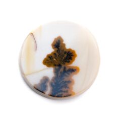 NEW!デンドリティックアゲートが入荷しました。