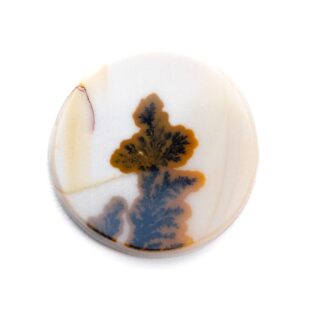 【植物標本のように可愛い石】デンドリティックアゲート 7.15ct