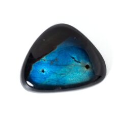 NEW!スペクトロライトが入荷しました！