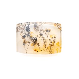 【景色を宿したクォーツ】デンドリティッククォーツ 17.0ct