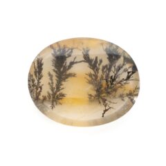 NEW!デンドリティッククォーツが入荷しました！