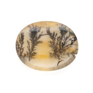 【景色を宿したクォーツ】デンドリティッククォーツ 18.2ct