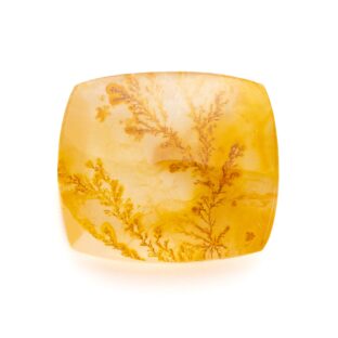 【景色を宿したクォーツ】デンドリティッククォーツ 19.85ct