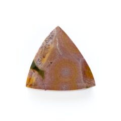 NEW!オーシャンジャスパーが入荷しました！