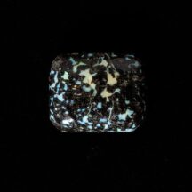 NEW!レオパードオパールが入荷しました!