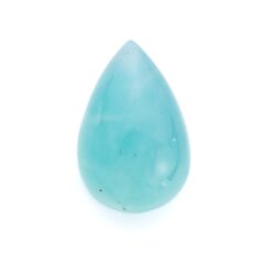 NEW!アクアプレーズが入荷しました！