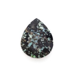 NEW!レオパードオパールが入荷しました！