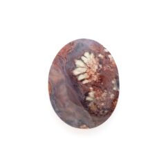 NEW!ランドスケープアゲートが入荷しました！