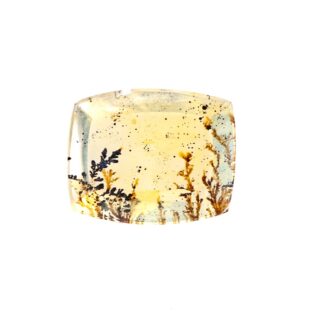 【景色を宿したクォーツ】デンドリティッククォーツ 3.35ct