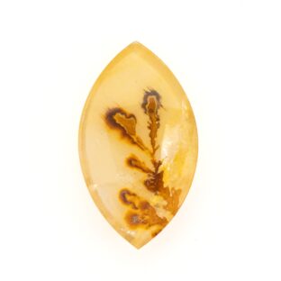 デンドリティッククォーツ 29.90ct | 黄金色の光満ちる大樹。夕暮れの渓谷を映す大粒マーキス